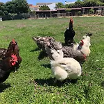 Casa Dos Meus Avos -villas - Gaia & Porto *