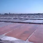 Casa Dos Meus Avos -villas - Gaia & Porto