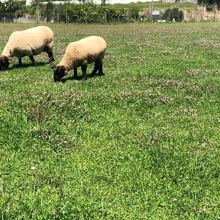 Casa Dos Meus Avos -villas - Gaia & Porto * Vila Nova de Gaia