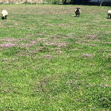 Casa Dos Meus Avós -villas - Gaia&porto Сasa de vacaciones