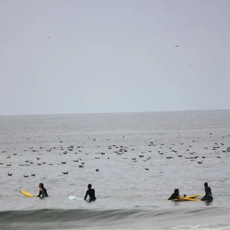Ferienhaus Casa Dos Meus Avos -villas - Gaia & Porto Vila Nova de Gaia