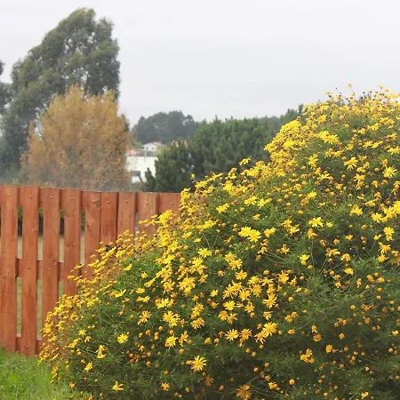 Casa Dos Meus Avos -villas - Gaia & Porto Vila Nova de Gaia