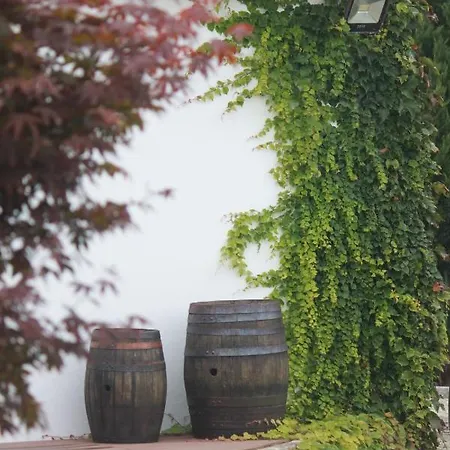 Сasa de vacaciones Casa Dos Meus Avós -villas - Gaia&porto *