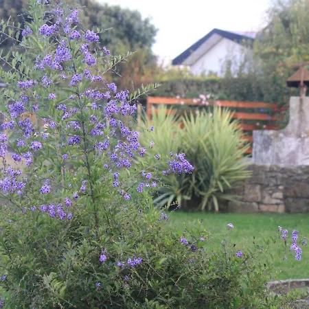 Casa Dos Meus Avós -villas - Gaia&porto Vila Nova de Gaia