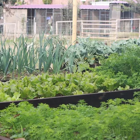Casa Dos Meus Avós -villas - Gaia&porto Сasa de vacaciones *