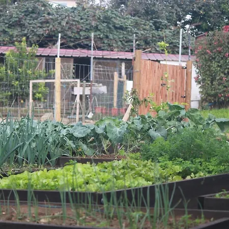 펜션 Casa Dos Meus Avos -villas - Gaia & Porto *