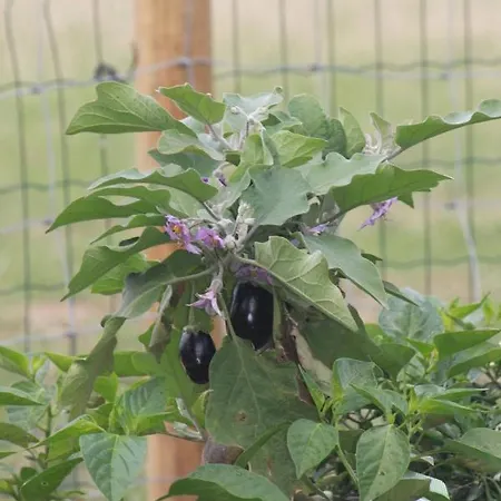 Casa Dos Meus Avos -villas - Gaia & Porto * Vila Nova de Gaia