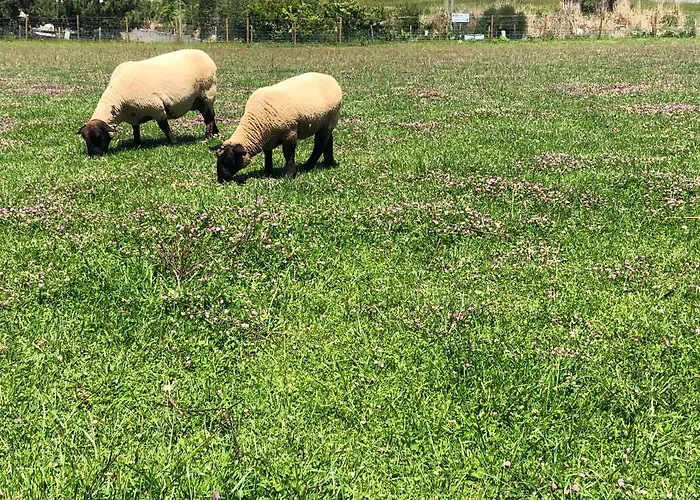 Casa Dos Meus Avos -villas - Gaia & Porto * 빌라노바데가이아