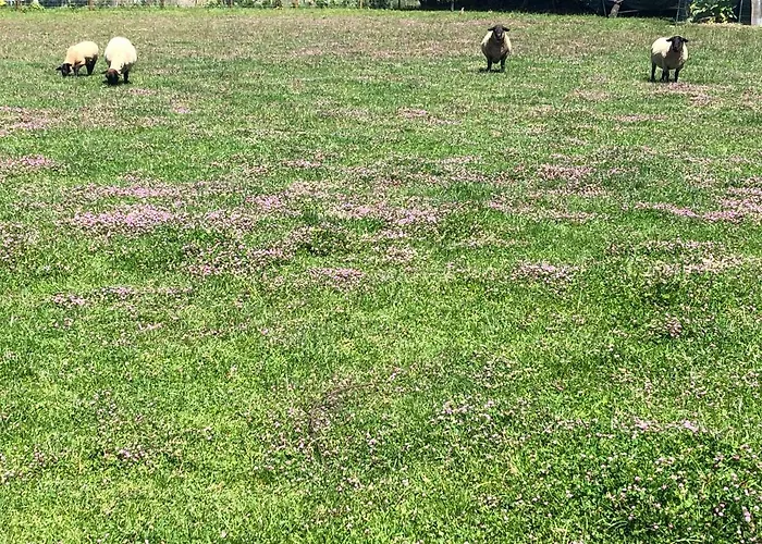 Casa Dos Meus Avos -villas - Gaia & Porto 펜션