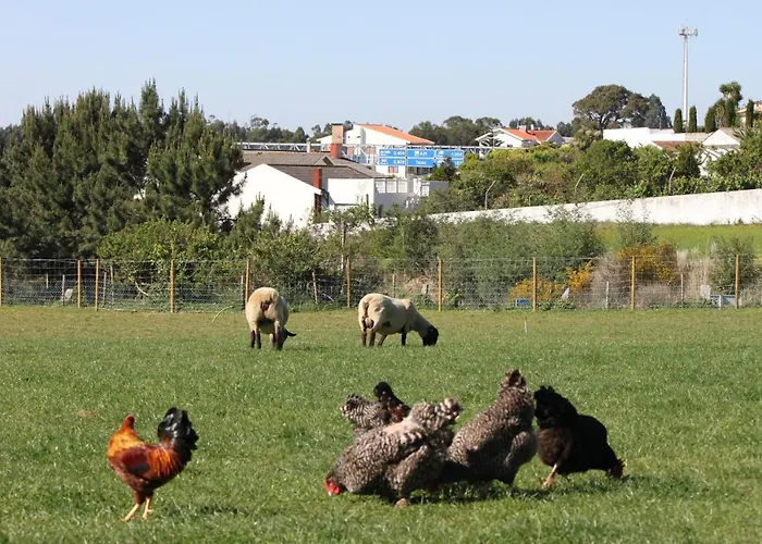 Casa Dos Meus Avos -villas - Gaia & Porto