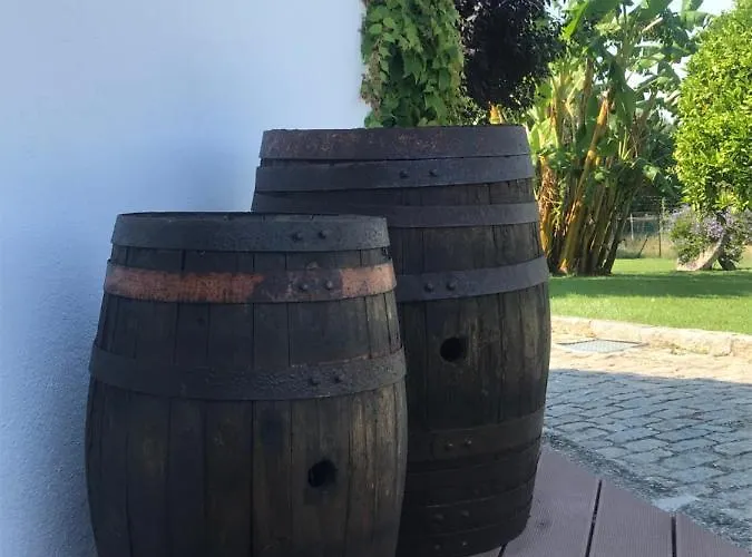 Casa Dos Meus Avos -villas - Gaia & Porto Tatil Evi