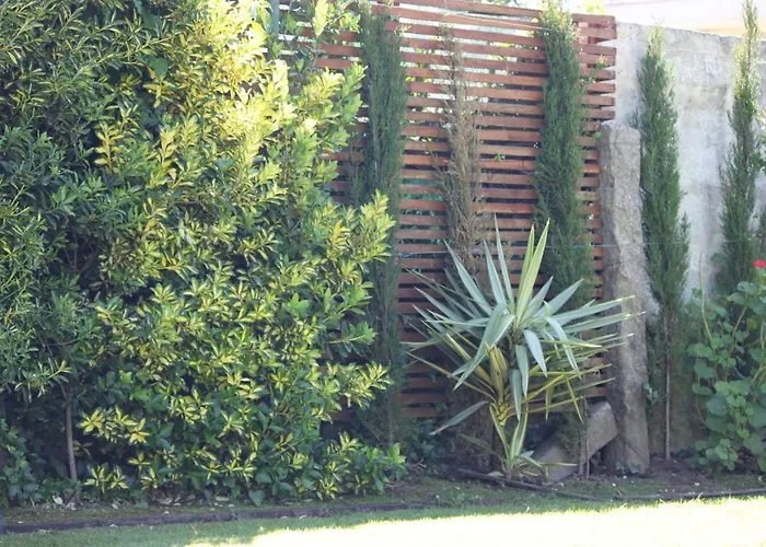 Casa Dos Meus Avos -villas - Gaia & Porto *