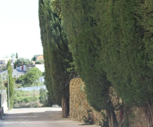 Casa Dos Meus Avos -villas - Gaia & Porto * Vila Nova de Gaia