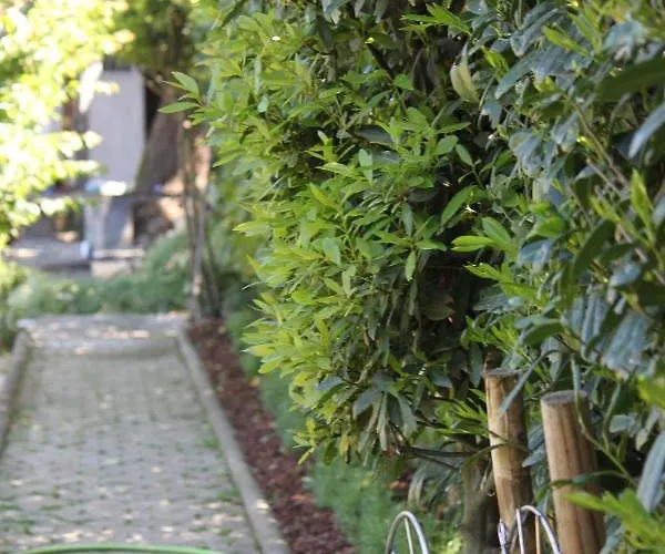 Casa Dos Meus Avos -villas - Gaia & Porto 펜션 *