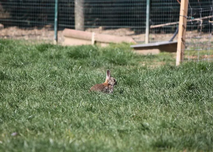 Casa Dos Meus Avos -villas - Gaia & Porto Tatil Evi *