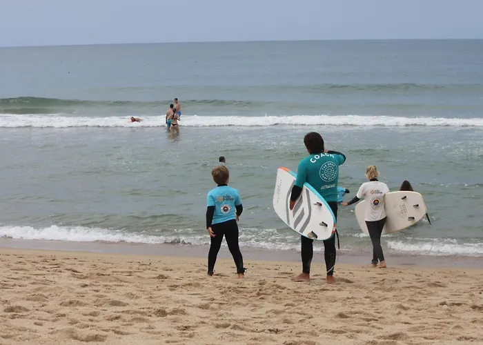 Casa Dos Meus Avos -villas - Gaia & Porto * Vila Nova de Gaia