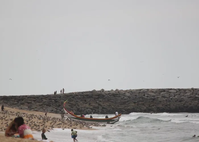 Casa Dos Meus Avos -villas - Gaia & Porto * Vila Nova de Gaia