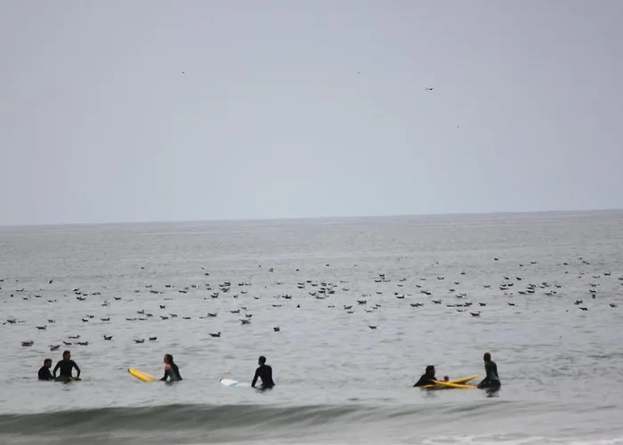 펜션 Casa Dos Meus Avos -villas - Gaia & Porto 빌라노바데가이아