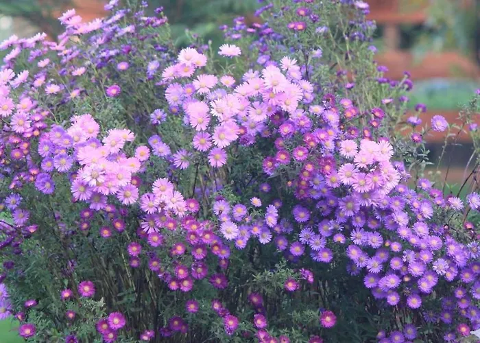 Casa Dos Meus Avos -villas - Gaia & Porto