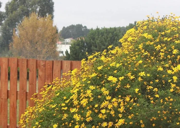 Casa Dos Meus Avos -villas - Gaia & Porto Vila Nova de Gaia