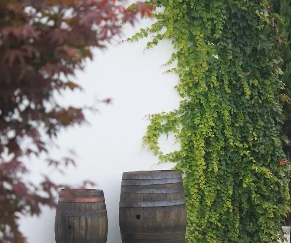 Tatil Evi Casa Dos Meus Avos -villas - Gaia & Porto *