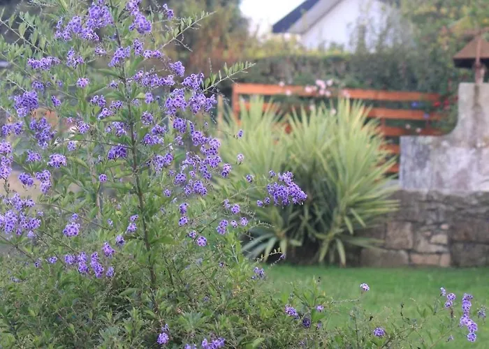 Casa Dos Meus Avos -villas - Gaia & Porto Vila Nova de Gaia