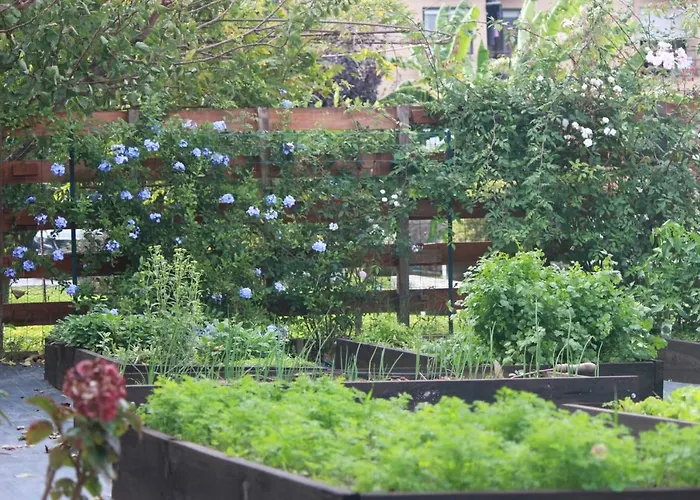 Casa Dos Meus Avos -villas - Gaia & Porto 펜션 *