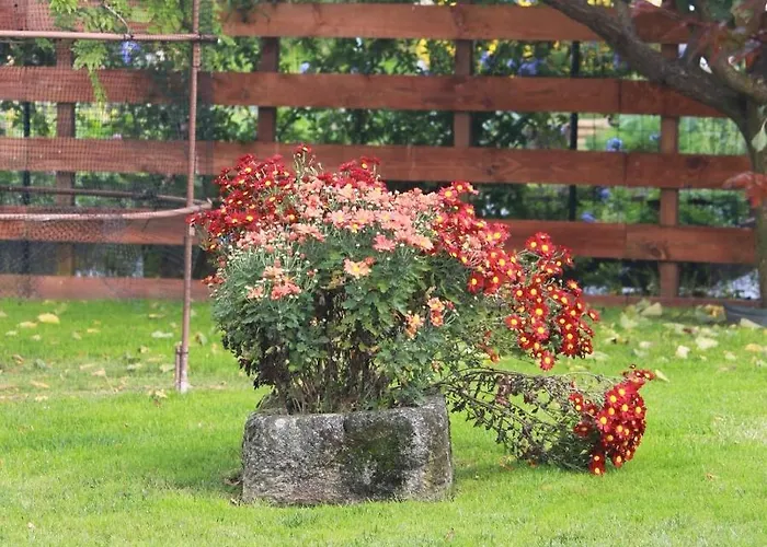 Casa Dos Meus Avos -villas - Gaia & Porto * Vila Nova de Gaia