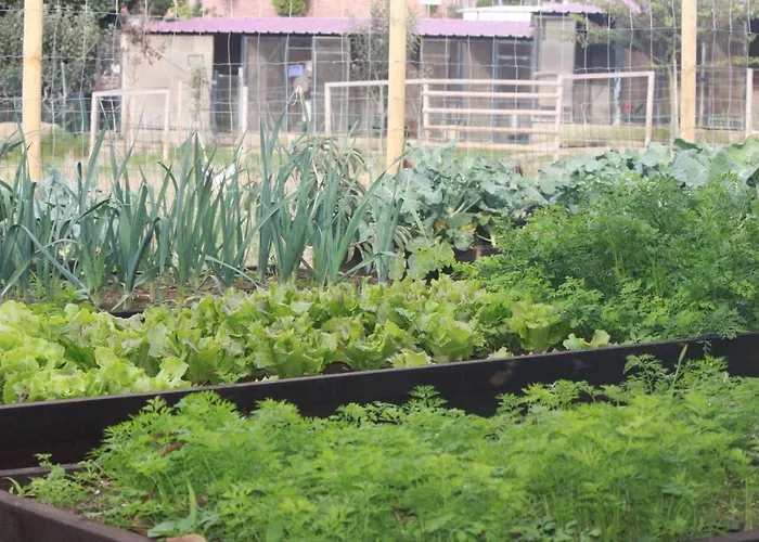 Casa Dos Meus Avos -villas - Gaia & Porto Vakantiehuis *