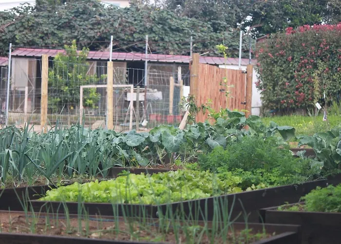 펜션 Casa Dos Meus Avos -villas - Gaia & Porto *