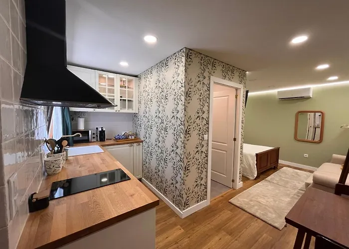 Casa Dos Meus Avos -villas - Gaia & Porto Tatil Evi